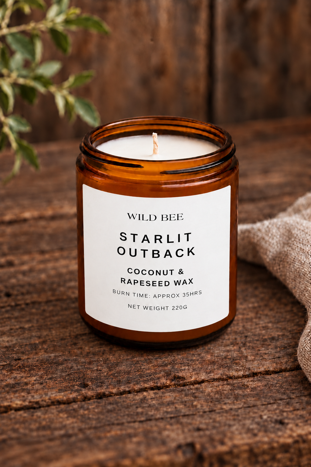 Starlit Outback