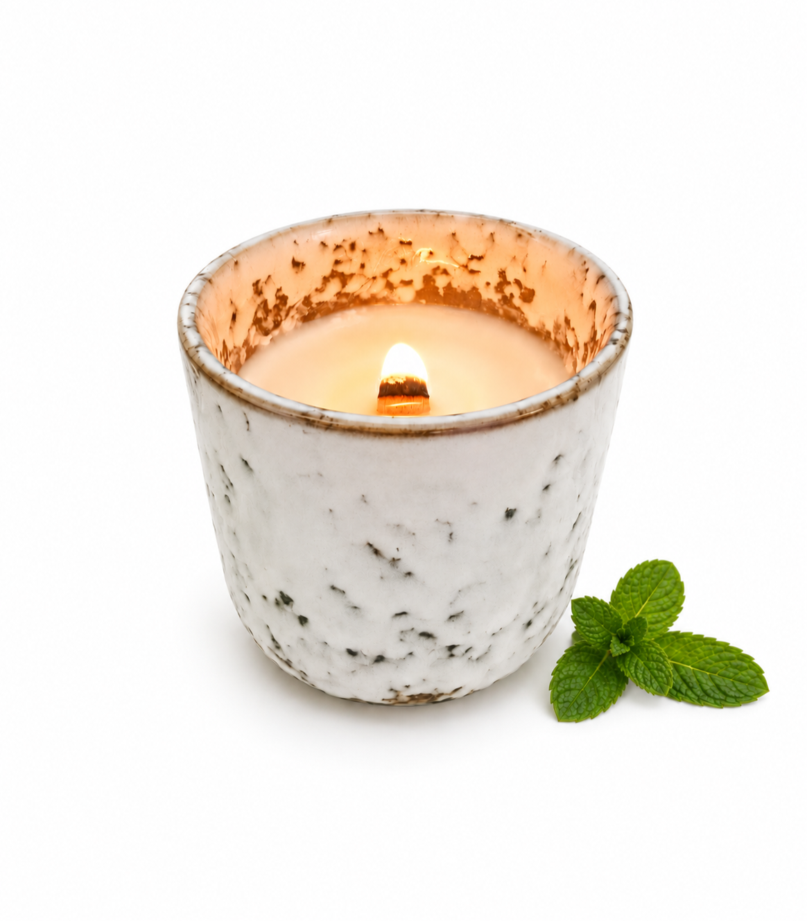 Bug Repellent Garden Candle